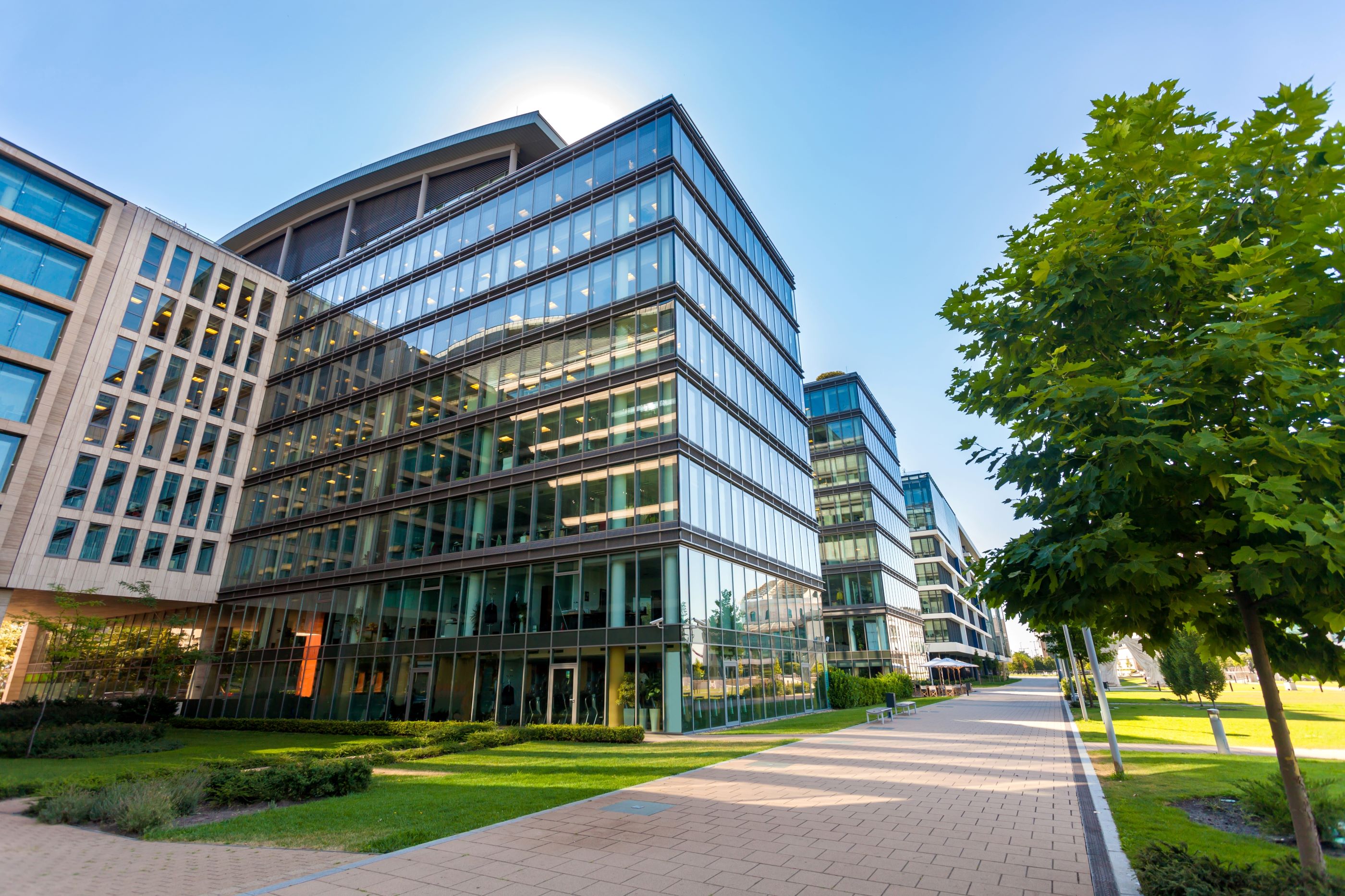 A major Contract Sales Organization was losing significant revenue and contracts